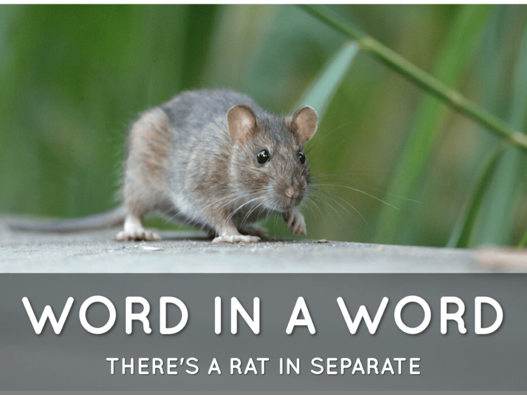 Spelling St Patrick's Catholic Voluntary Academy